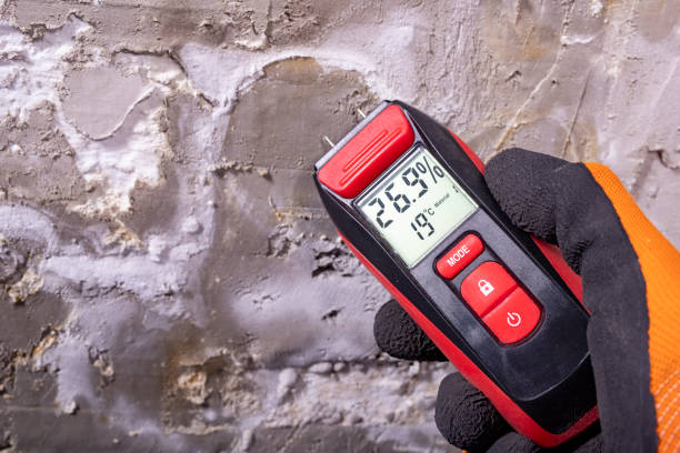 Best Black Mold Remediation in Watertown, WI