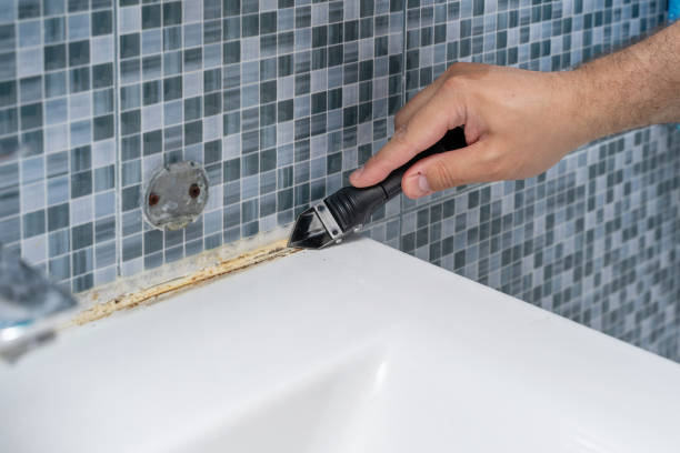 Reliable Watertown, WI Mold Remediation Solutions
