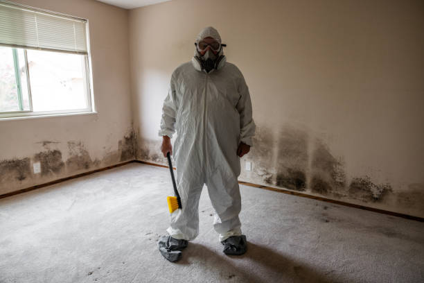 Best Bathroom Mold Remediation in Watertown, WI